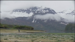 Nature - Season 44 Episode 01